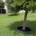 Tree Ring Kits
